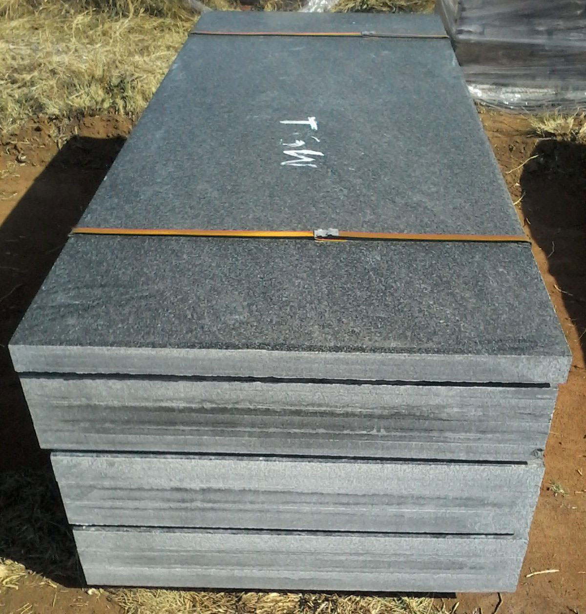 Tombstone Library Ledger