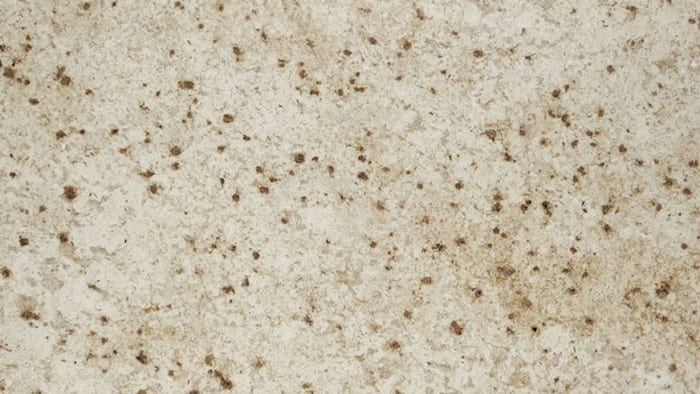 Colonial Cream — Stone Library