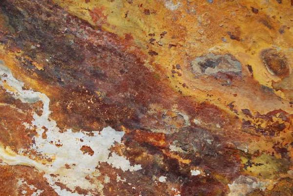 Slate Tiles Rich Autumn closeup